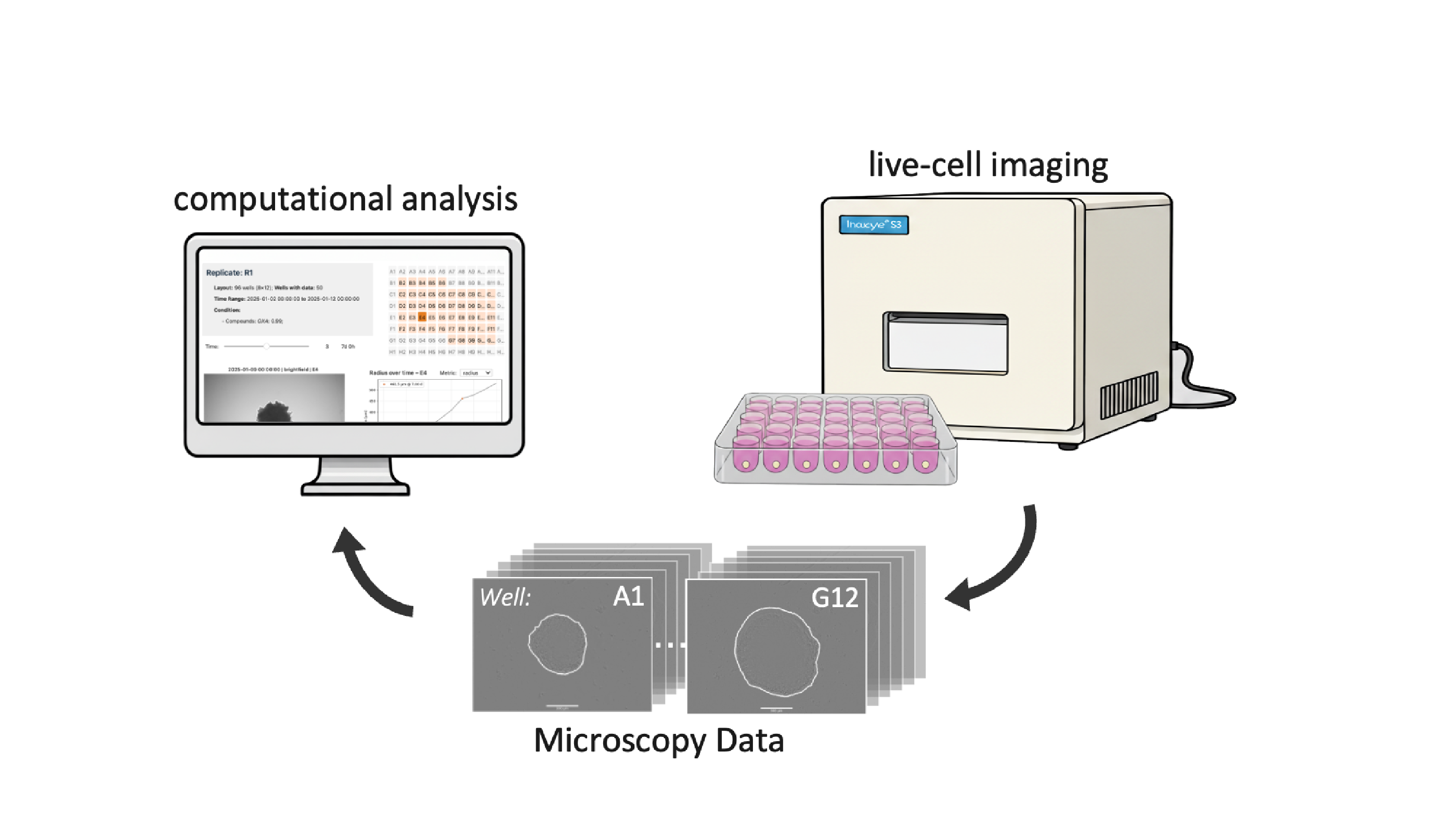 Handling of Microwell Plates